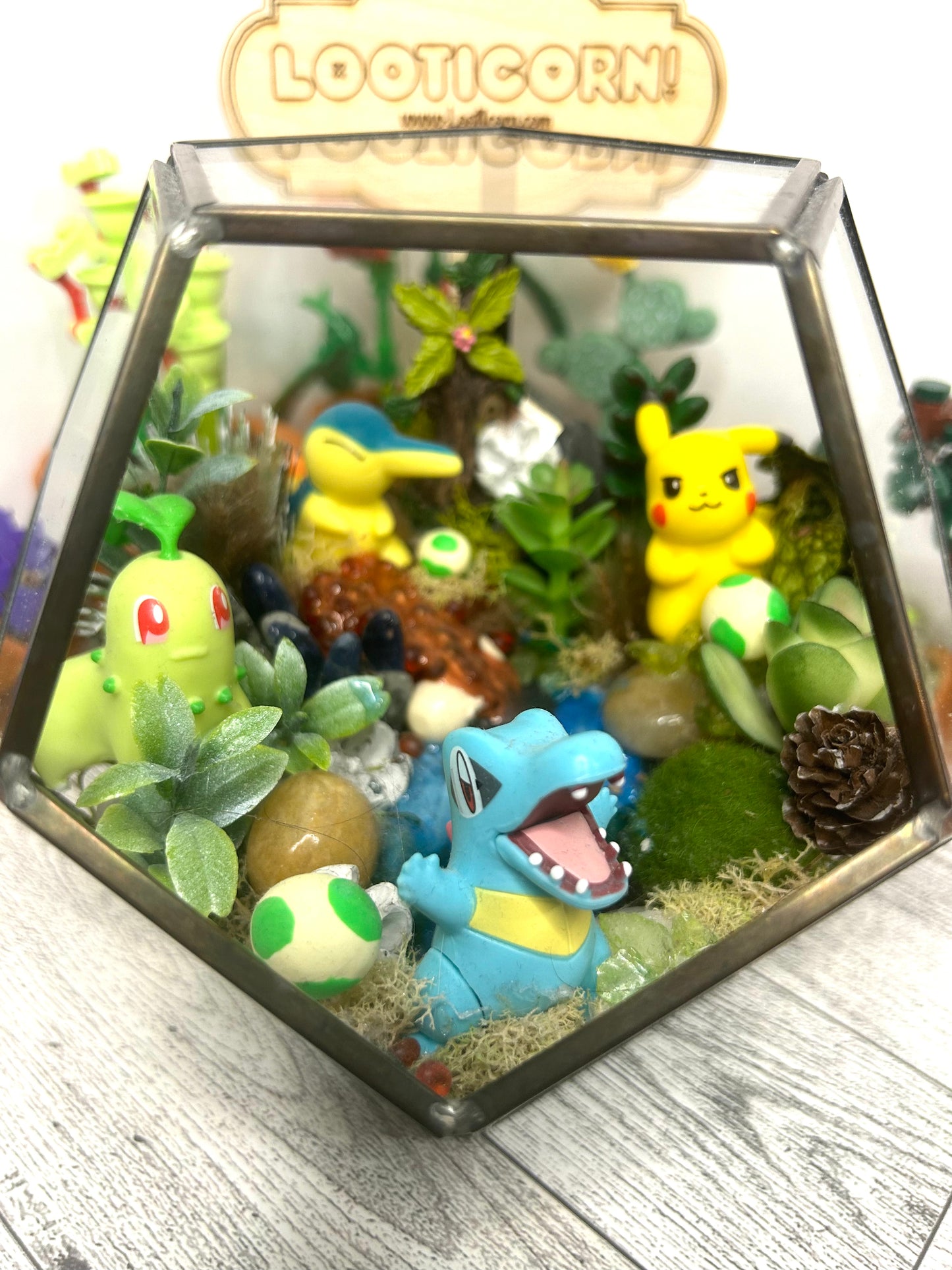 Poke inspired habitat terrarium