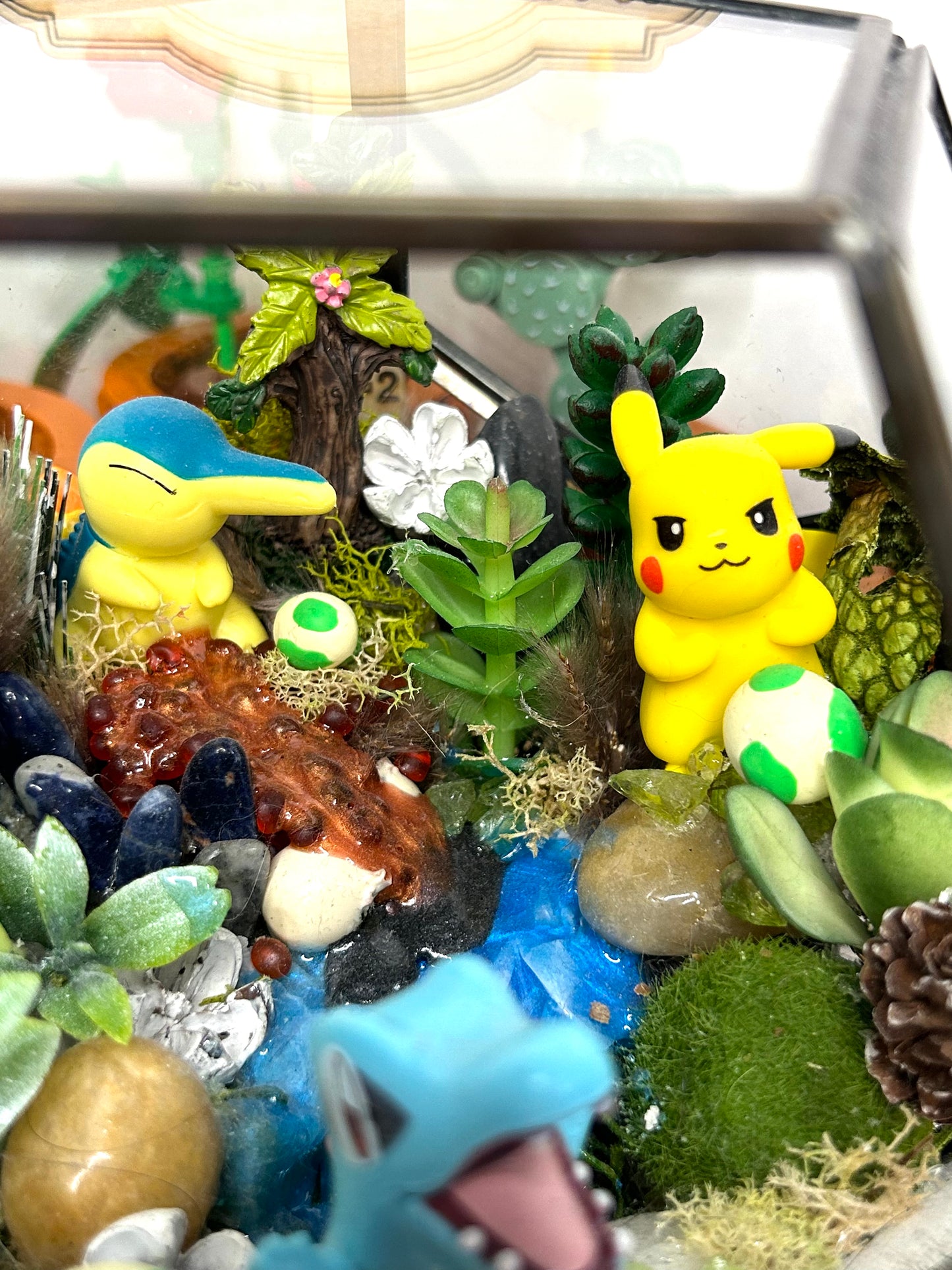 Poke inspired habitat terrarium