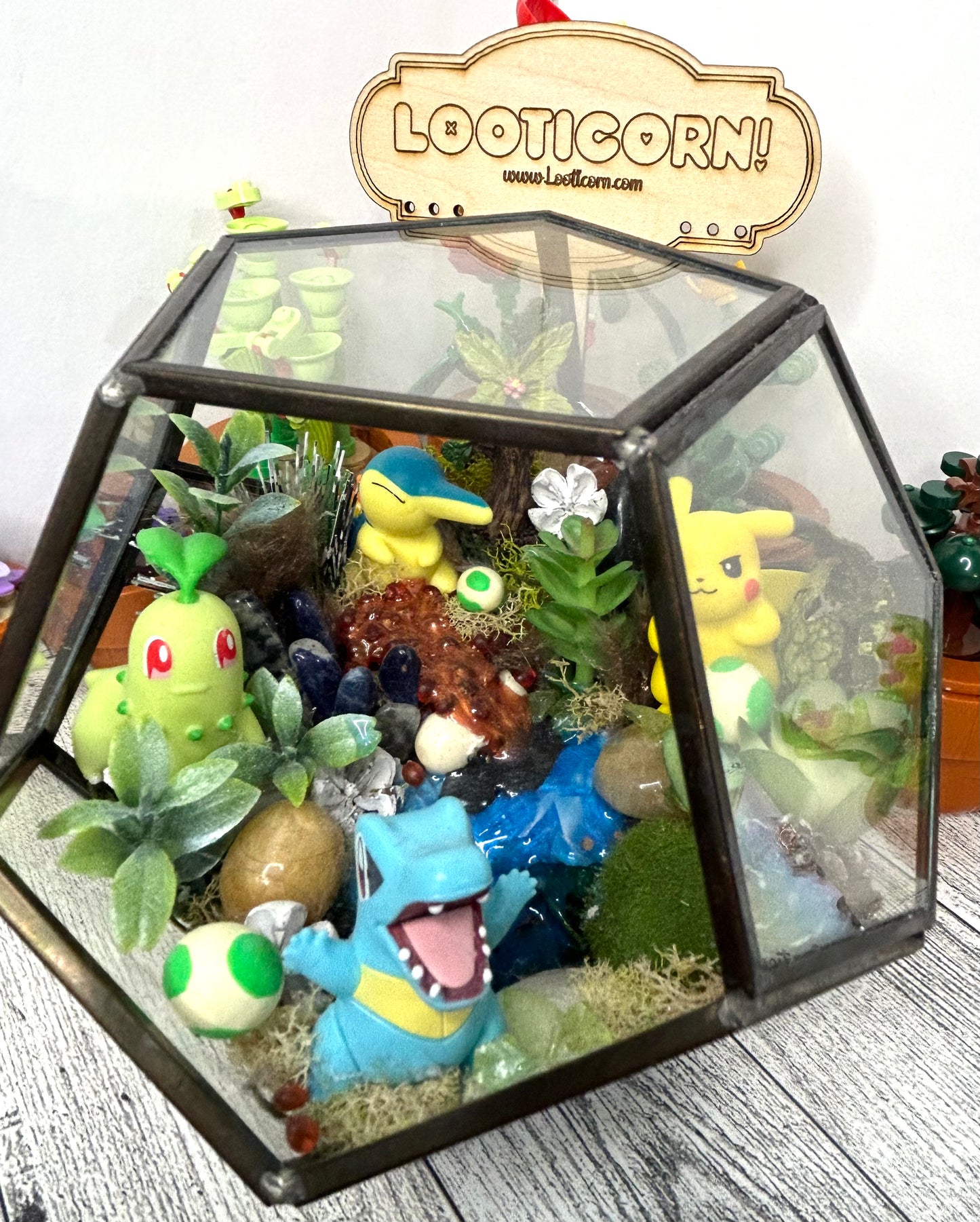 Poke inspired habitat terrarium